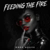Мұқаба ANONFX - FEEDING THE FIRE ANONFX - FEEDING THE FIRE
