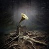 Мұқаба Борис Гребенщиков - Растафара (Майк Науменко) Борис Гребенщиков - Растафара (Майк Науменко)