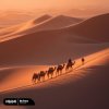 Мұқаба DEMER - My Pace DEMER - My Pace
