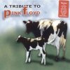 Glenn Hughes, Elliot Easton, Tony Franklin - Young Lust