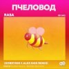 Мұқаба RASA - Пчеловод (Dobrynin & Alex Shik Radio Edit) RASA - Пчеловод (Dobrynin & Alex Shik Radio Edit)