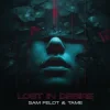 Мұқаба Sam Feldt & TAME - Lost In Desire Sam Feldt & TAME - Lost In Desire