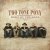 封面 Two Tone Pony - The Flood