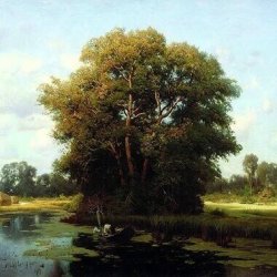 Мұқаба Льонок - Шумiла сосна i явiр