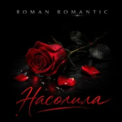 Мұқаба ROMAN ROMANTIC - Насолила