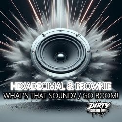 Мұқаба Hexadecimal & DJ Brownie - What's That Sound