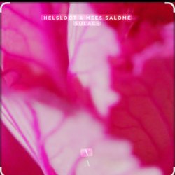 Мұқаба Helsloot & Mees Salome - Solace (Extended Mix)