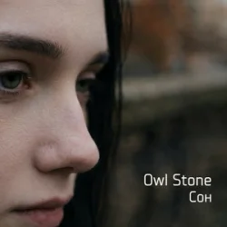 Мұқаба Owl Stone - Сон