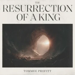 Мұқаба Tommee Profitt & Fleurie - I’ll Fly Away