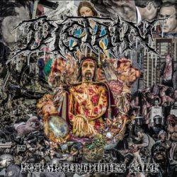 Мұқаба Distain - Roaming Embers