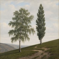 Мұқаба Сергей Видов - Берёза и тополь