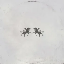 Мұқаба The Chainsmokers & Oaks - Echo