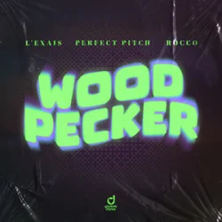 Мұқаба L'EXAIS & Perfect Pitch & Rocco - Woodpecker