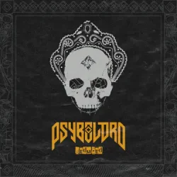 Мұқаба Psybolord - Ломаные пляски