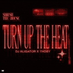 Мұқаба DJ Aligator & Thoby - Turn Up The Heat
