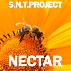 Мұқаба Nectar