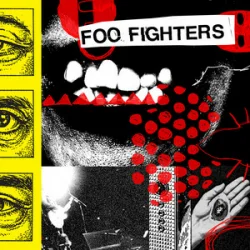 Мұқаба Foo Fighters - Window