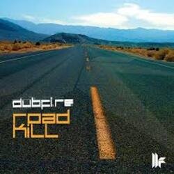 Мұқаба Dubfire - Roadkill (EDX’s Acapulco At Night Remix)