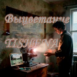 Мұқаба TISHENA - Выцветание