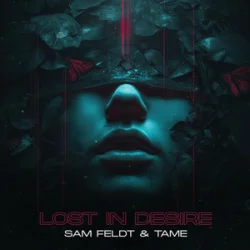 Мұқаба Sam Feldt & TAME - Lost In Desire