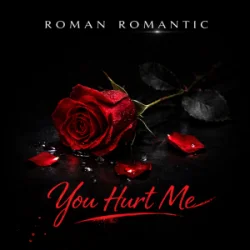 Мұқаба ROMAN ROMANTIC - Tu m'as blessé