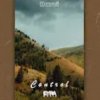 Davvi - Control