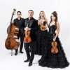 Мұқаба The String Quartet - Money The String Quartet - Money