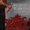 Мұқаба Stillborn Condition - Born of Bile Stillborn Condition - Born of Bile