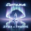 ViTaLiKuS - Душа в тишине