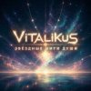 Мұқаба ViTaLiKuS - Звёздные нити души ViTaLiKuS - Звёздные нити души