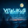 Мұқаба ViTaLiKuS - Ещё майская ночь ViTaLiKuS - Ещё майская ночь