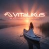 ViTaLiKuS - Мы встречались с тобой на закате