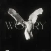 Мұқаба LONOWN & riserayss - worry (Slowed) LONOWN & riserayss - worry (Slowed)