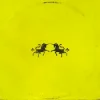 Мұқаба The Chainsmokers & Oaks - Wild The Chainsmokers & Oaks - Wild