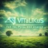 Мұқаба ViTaLiKuS - Гой ты, Русь, моя родная ViTaLiKuS - Гой ты, Русь, моя родная