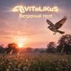 Мұқаба ViTaLiKuS - Ветреный поэт ViTaLiKuS - Ветреный поэт