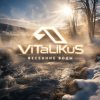 Мұқаба ViTaLiKuS - Весенние воды ViTaLiKuS - Весенние воды