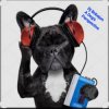 Мұқаба Dj Bobojon - A Dog's Perspective Dj Bobojon - A Dog's Perspective