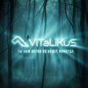Мұқаба ViTaLiKuS - Нам легко не будет никогда ViTaLiKuS - Нам легко не будет никогда