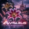 Мұқаба ViTaLiKuS - Мне мил прелестный ваш подарок ViTaLiKuS - Мне мил прелестный ваш подарок