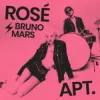 Мұқаба ROSÉ & Bruno Mars - APT (DJ XAN Remix) ROSÉ & Bruno Mars - APT (DJ XAN Remix)