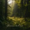 Мұқаба Anna Svet - Убежать бы в леса Anna Svet - Убежать бы в леса