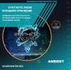 Мұқаба Synthetic Noise - Холодное отражение Synthetic Noise - Холодное отражение