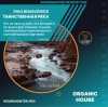 Мұқаба PavlikMaverick - Таинственная река PavlikMaverick - Таинственная река