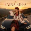 Мұқаба Faina Stefa - Крути мене у тачці! Faina Stefa - Крути мене у тачці!