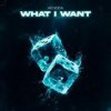 Мұқаба Ad Voca - What I Want Ad Voca - What I Want