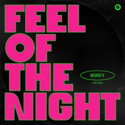 Мұқаба Borey - Feel Of The Night