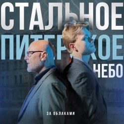 Мұқаба Стальное Питерское Небо