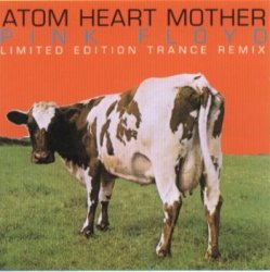 Мұқаба Pink Floyd & The Orb - Atom Heart Mother