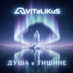 Мұқаба ViTaLiKuS - Душа в тишине
